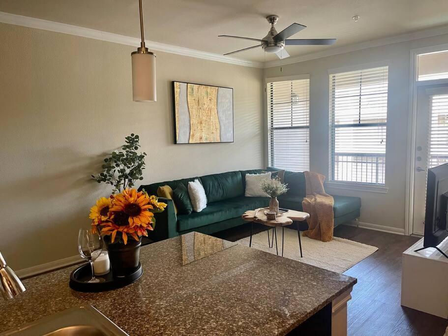 Modern Apartment, Close To Downtown/free Parking * Houston