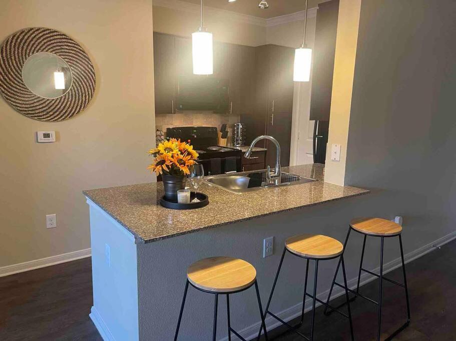 Apartment Modern Apartment, Close To Downtown/free Parking Houston