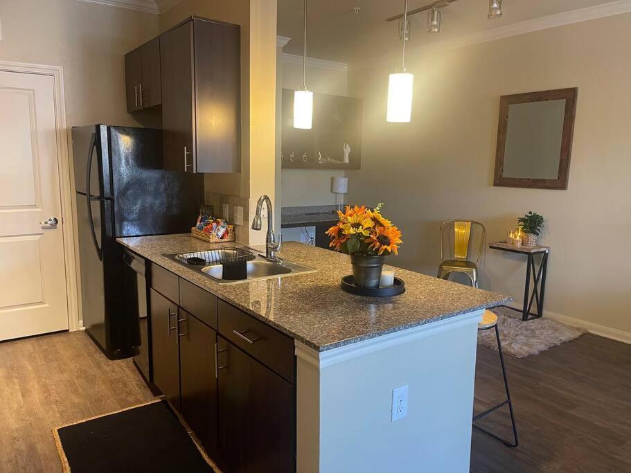 Modern Apartment, Close To Downtown/free Parking Apartamento Houston